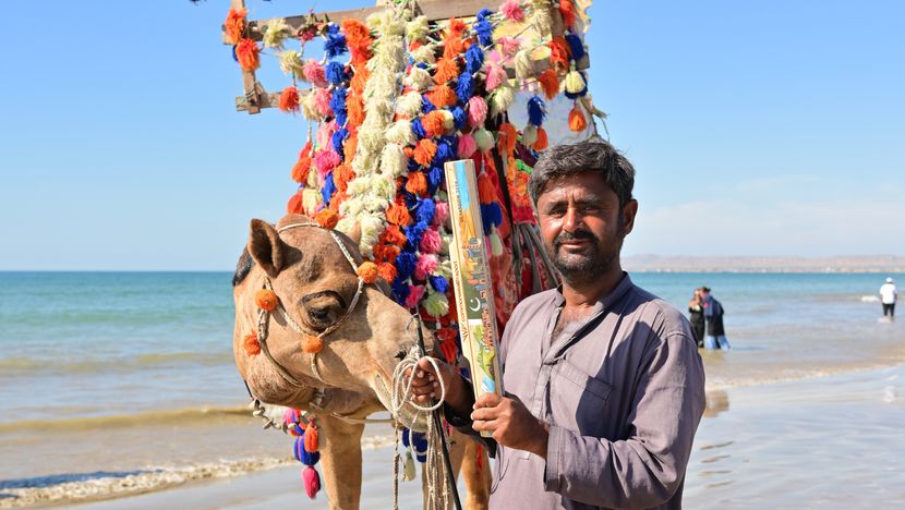 KBR Pakistan - Camel