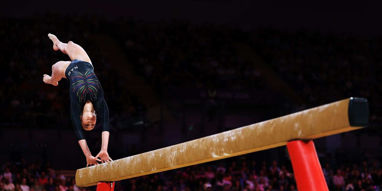 776502805_2287578909_Artistic_Gymnastics___Glasgow