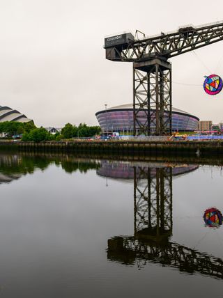 Glasgow Rose