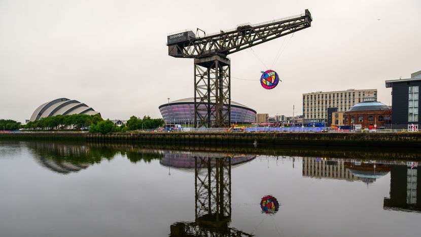 Glasgow Rose