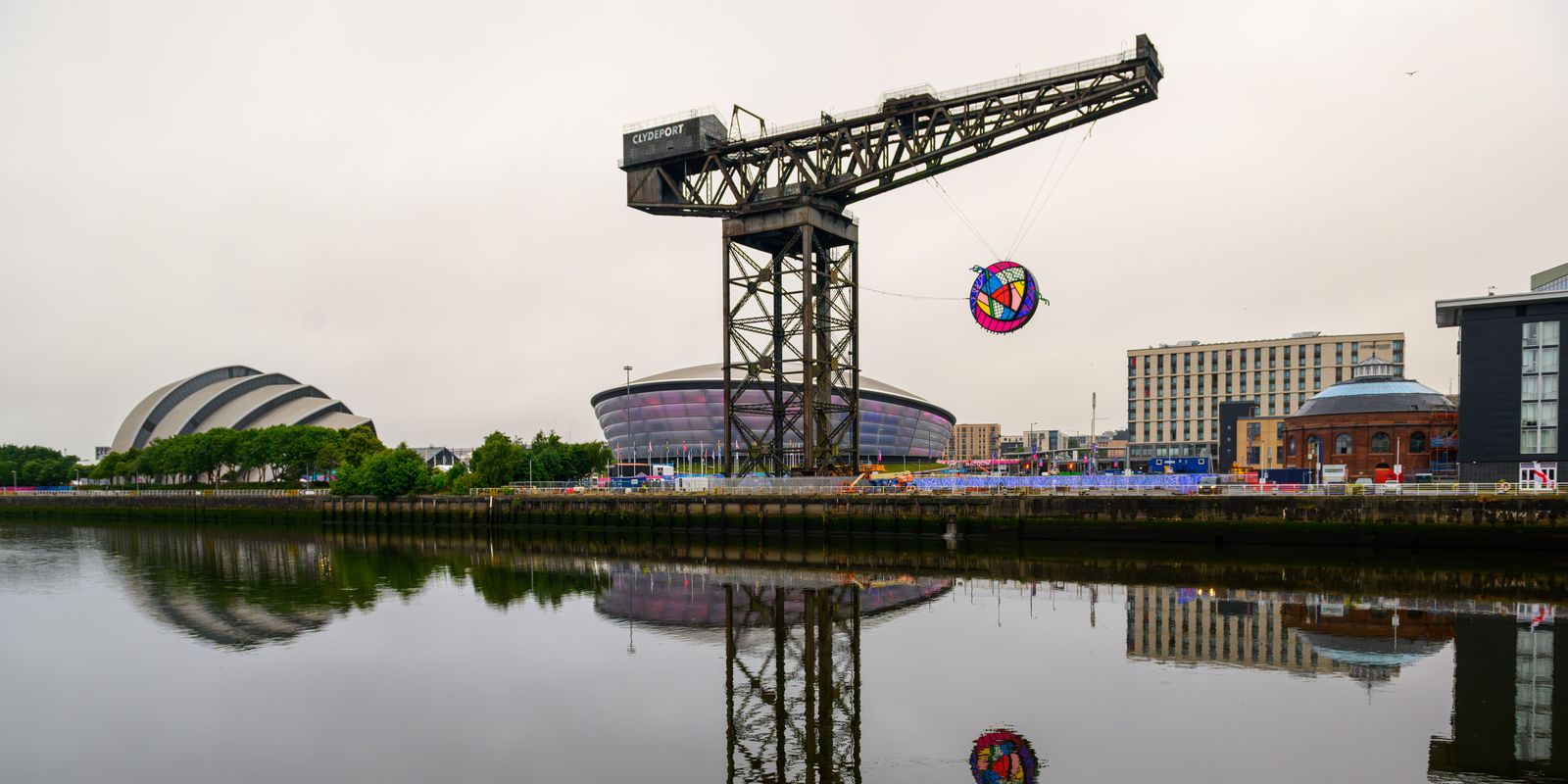 Glasgow Rose